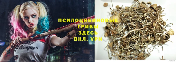 apvp Алзамай