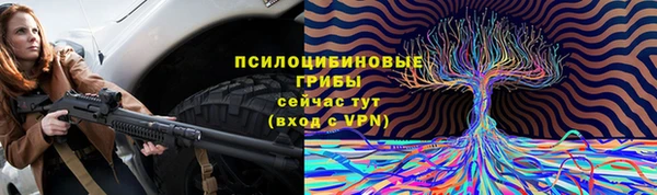 гашиш Абаза