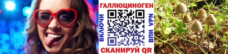 Галлюциногенные грибы Magic Shrooms магазин продажи Тейково